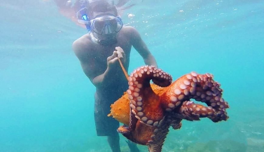 São Tomé and Príncipe’s Best Diving Spots