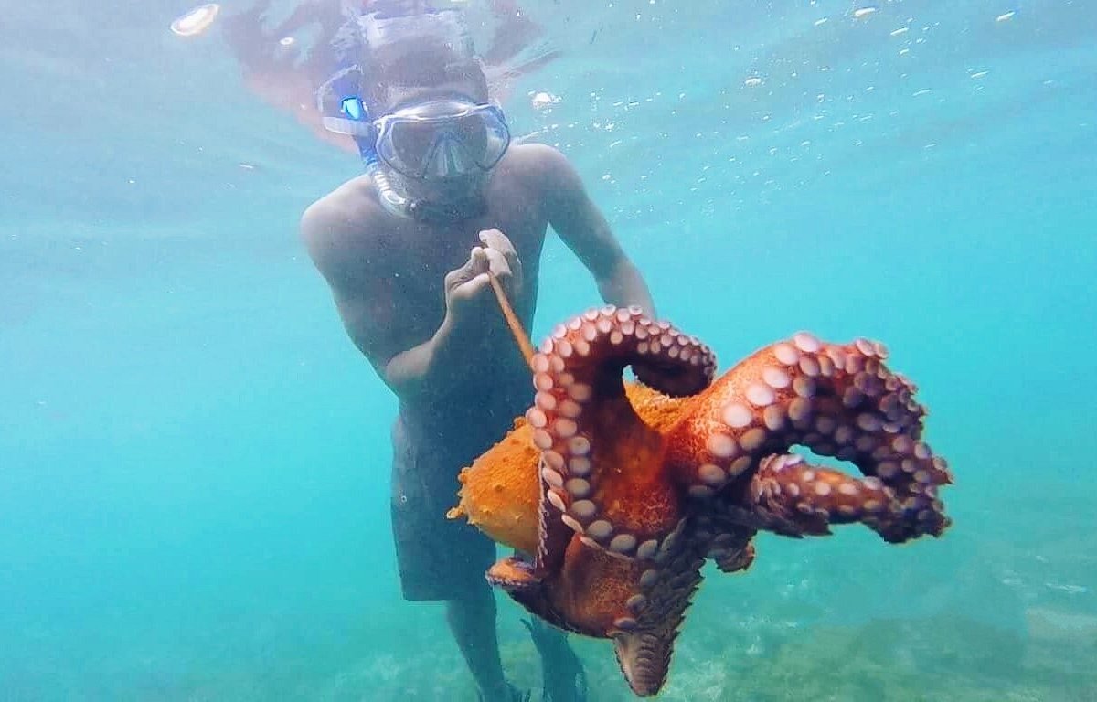 São Tomé and Príncipe’s Best Diving Spots